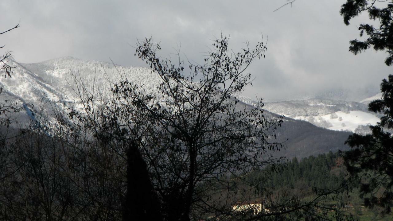 Borgo Della Rocca Bed & Breakfast Montemurlo Luaran gambar